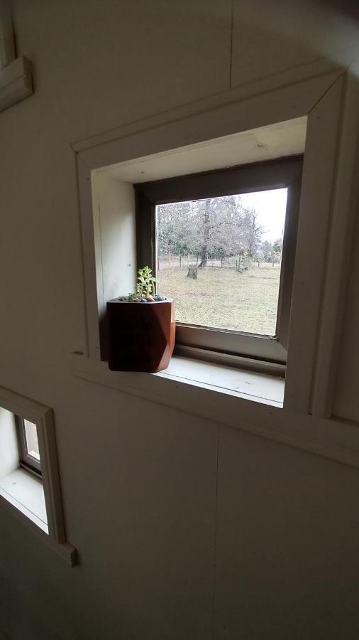 Pinon House Apartment Мелипеуко Екстериор снимка